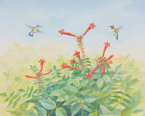 Peter Barrett, Broad-Tailed Hummingbird w/ Trumpet Vines, 2022, Oil on Canvas