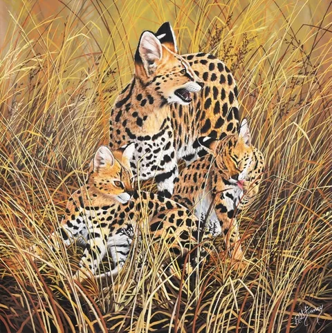 R.G. Finney, Serval / All Ears, Acrylic on Canvas