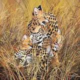 R.G. Finney, Serval / All Ears