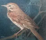 Redwing Thrush, Helmuth Stone Gallery 2025