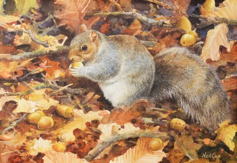 Neil Cox, Untitled, Watercolor