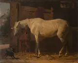 Emil Volkers, Protecting the Foal