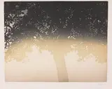 Jean Solombre, Oak Tree