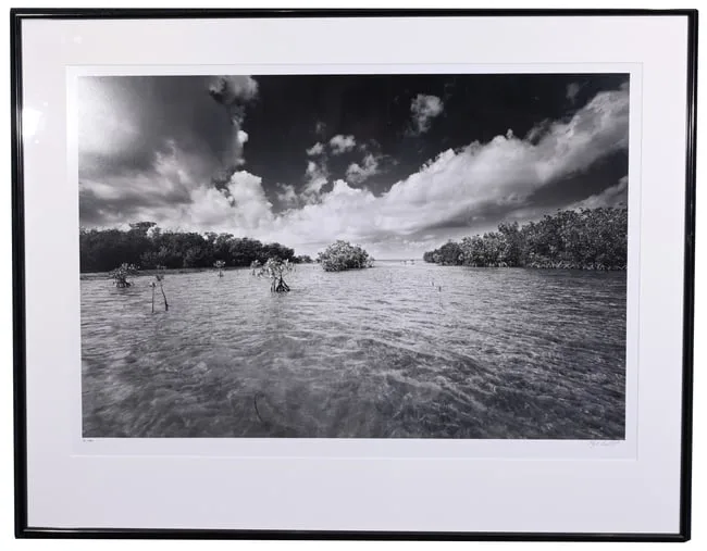 Clyde Butcher, Old Rhodes Key, 1998, photograph