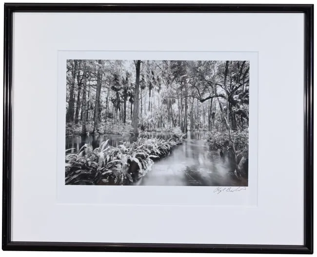 Loxahatchee River #2 by Clyde Butcher, 1991, photograph, sold Nov 2025