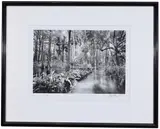Clyde Butcher, Loxahatchee River #2