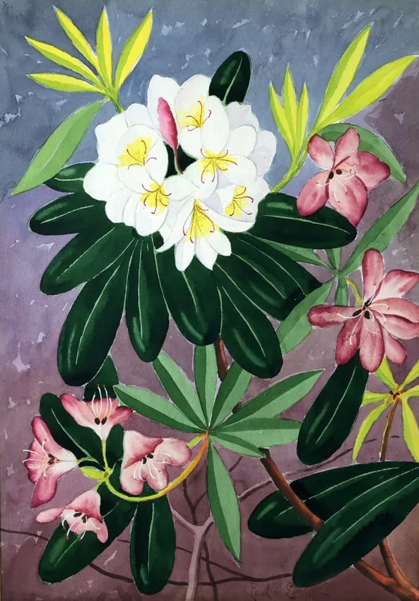 Untitled by Paul de Longpré, Watercolor, sold Jan 2026