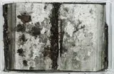 Sebastiano Balbo, Salmi - Reperti Contemporanei, 1950, cm.