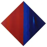 Ennio Finzi, Il verso del colore