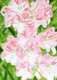Aurora Nomellini, Fiori, 2015, cm.