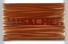 Umberto Mariani, Autobiografico: Jaisalmer, 2007, grafite on panel