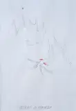 Lisa Licitra Ponti, Brindisi di montagna