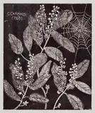 Corrado Carmassi, Ramo fiorito, 1969