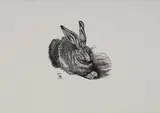 Leonardo Farina, Lepre da Dürer, 1973