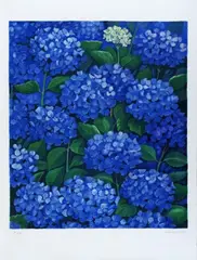 Ortensie by Giuseppe Lambertucci, offered Mar 2019