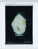 Renato Ranaldi, Pittura