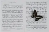 Claudio Parmiggiani, Senza titolo