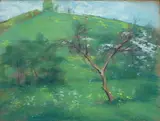 Pruno in fiore by Ernestina Schultze-Naumburg, offered Feb 2019