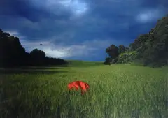 They are here 2 by Matteo Basile, 2007, offered Dec 2018