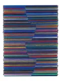 Marco Querin, Segni particolari, 2008