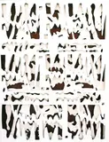 Remo Bianco, 3D, Autentica Fondazione Remo Bianco