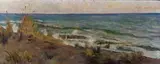 Niccolò Cannicci, Paesaggio costiero