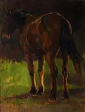 Arthur Lemon, Cavallo
