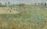 Angelo Torchi, Campagna fiorita