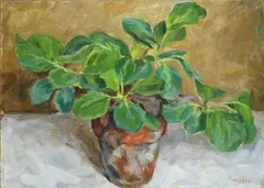 Vaso con pianta by Nelusco Sarti, 1975, offered Oct 2018