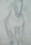 Federigo Angeli, Cavallo