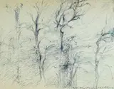 Folco Chiti Batelli, Alberi