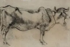 Bue by Arturo Checchi, pencil on paper, offered Sep 2018
