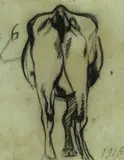 Arturo Checchi, Mucca