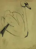 Arturo Checchi, Cigno, pencil on paper