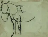Arturo Checchi, Studio per cavallo, pencil on paper