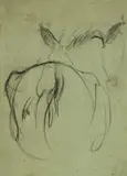 Arturo Checchi, Studio per asino, pencil on paper
