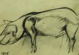 Arturo Checchi, Maiale