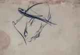 Arturo Checchi, Testa di profilo, pencil on paper