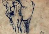 Arturo Checchi, Mucca