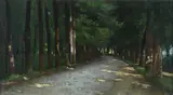 Francesco Gioli, Viale alle Cascine