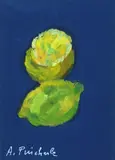 Adriana Pincherle, Limoni