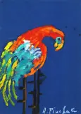 Adriana Pincherle, Pappagallo