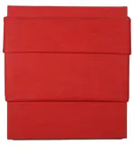 Cesare Berlingeri, Senza titolo, 2008, Sul verso: firma