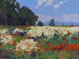 Marina di Pisa, campo di camomilla e papaveri by Angiolo Volpe, offered Jul 2018