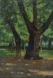 Alberi by Carlo Passigli, offered Jul 2018