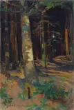 Luci nel bosco by Alphons Hollaender, offered Jul 2018