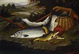 A. Roland Knight, Pesci