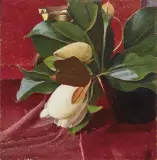 Oscar Ghiglia, Magnolie