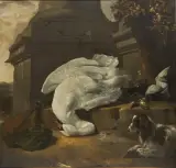 Jan Weenix, Natura Morta Con Cigno, Cane E Volatili