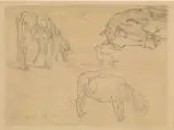 Giorgio de Chirico, Bestiario, pencil on paper cm